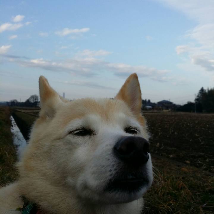 Edbc7c40 66fa 403c aaf7 778ce90b97ff