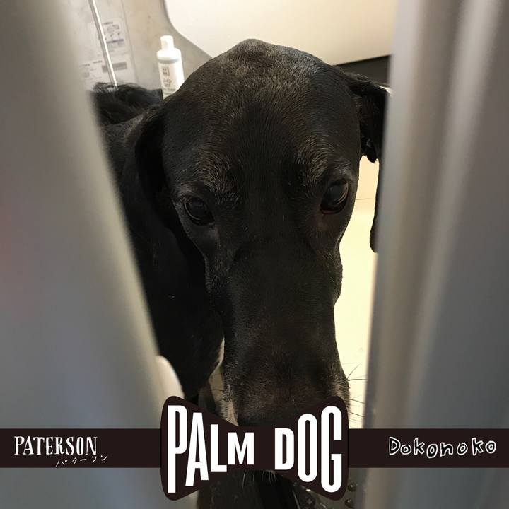 Edbc9ac6 eaf1 4e9c 9919 70986543ad4a