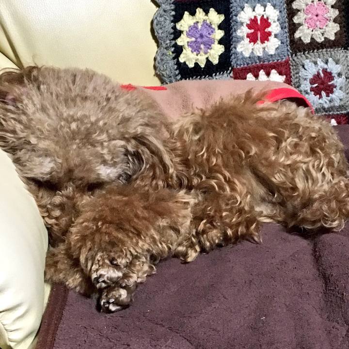 Edbca73c cdea 4301 b913 df345b048fd5