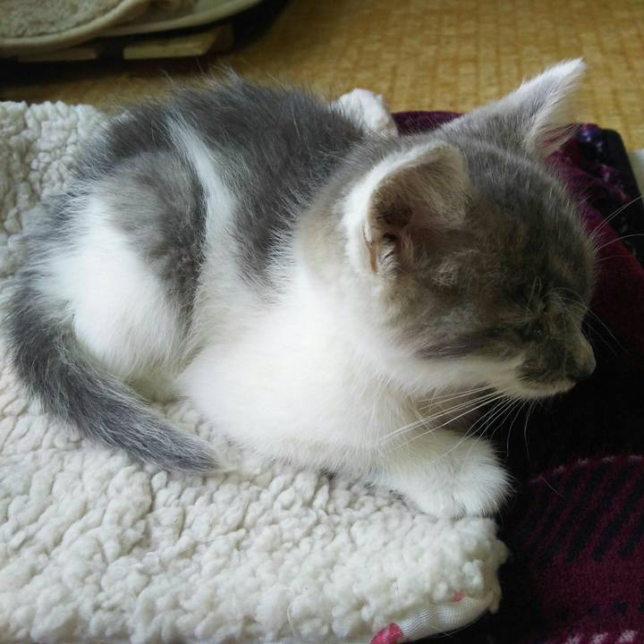 Edbcb89a 9191 41e9 af25 5a1c7d7f7890