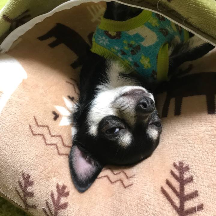 Edbecad4 a5a9 4729 a698 3d300b645eb1