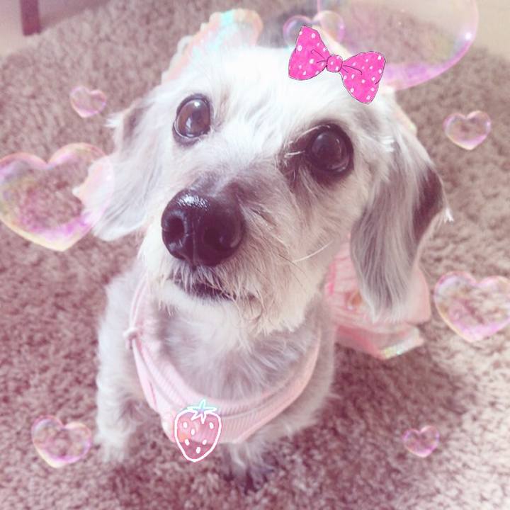 Edbf0270 6a8a 4f4a a95d ed2f6023a845