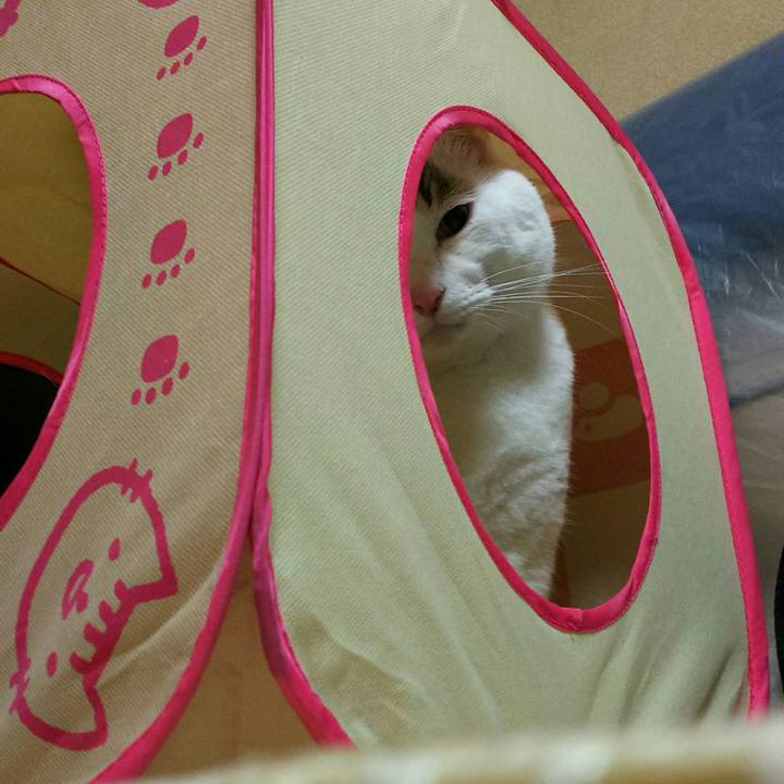 Edbff3f3 a04d 4bb3 b773 e35c02ddca9a