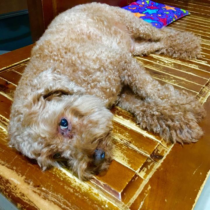 Edc02459 a14e 4b83 ba23 61ea60b7df9a