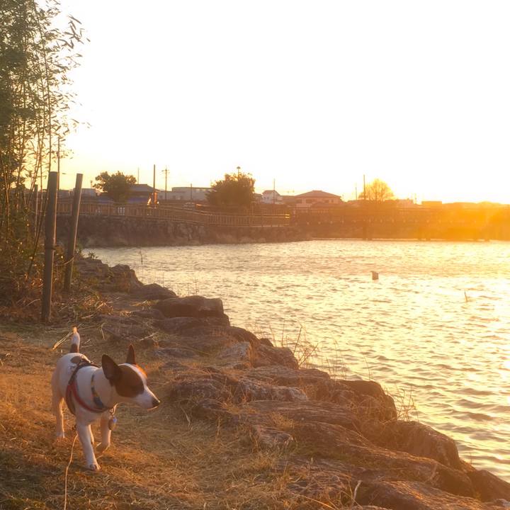 Edc09314 dfaf 411f a04e d9e54e095578