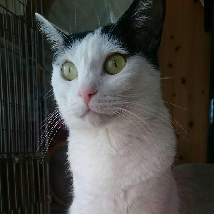 Edc0f943 e0bb 4c7e 88a1 ffc12a31f4ec