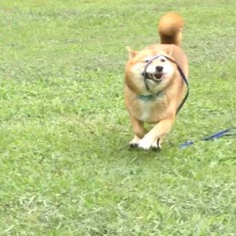 Edc16f01 9a14 4227 a324 d3ee7eb34777