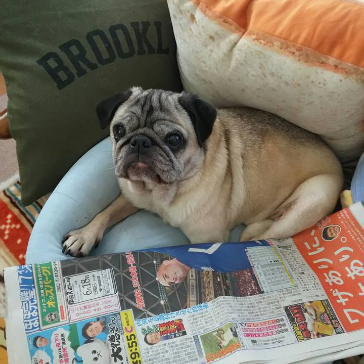 Edc1ba17 92c5 4c83 9316 c248f9c4af19