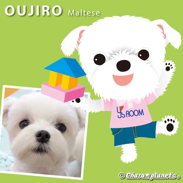 Edc2286d bb75 4f4c b576 a7717caaa1eb