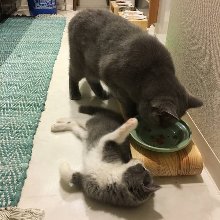 Edc27b23 59d9 4f29 a0b9 564e0ea9d7d7