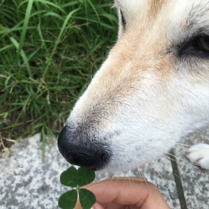 Edc2a637 5d67 4973 9739 040db729f508