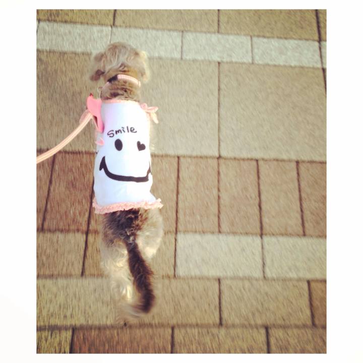 Edc3ddce fa17 4187 a0d8 a2e799f8c6a6