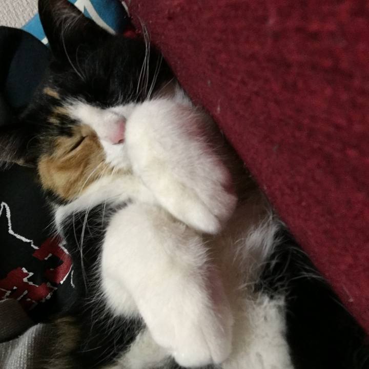 Edc46b86 964b 404c 8b08 38342e7b610f