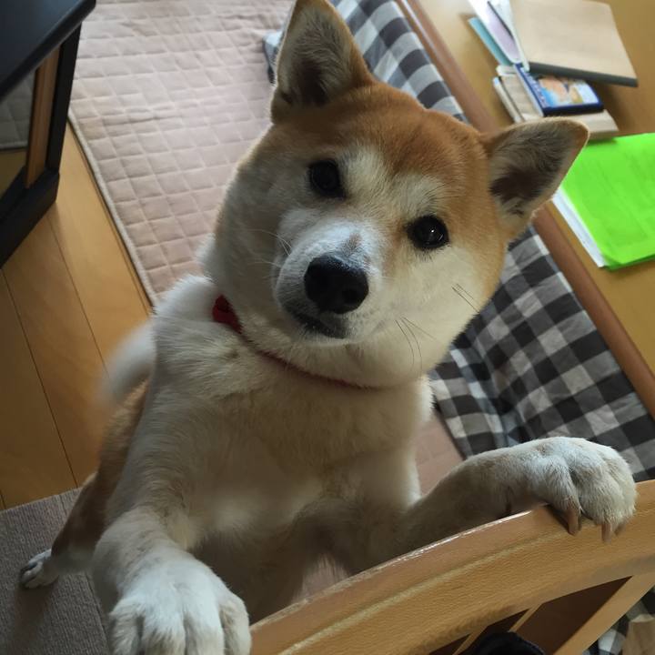 Edc4a0b9 bc05 435d 8340 c0b459797b0c