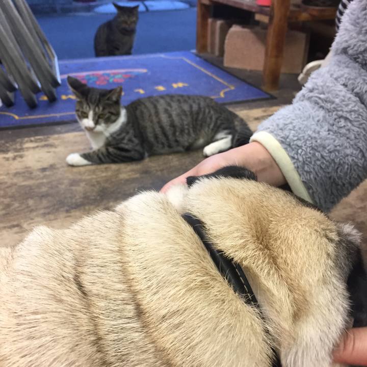 Edc4a633 332d 4ad9 968f 109c3189ae2a