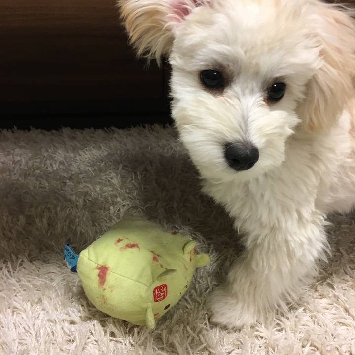 Edc516dc e0b9 49a3 bb2a ce0686fd3561