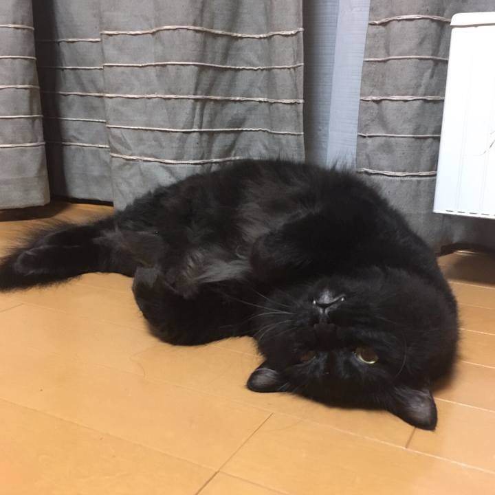 Edc51818 6b3f 4ffc 9b7d d0a99fb835ea