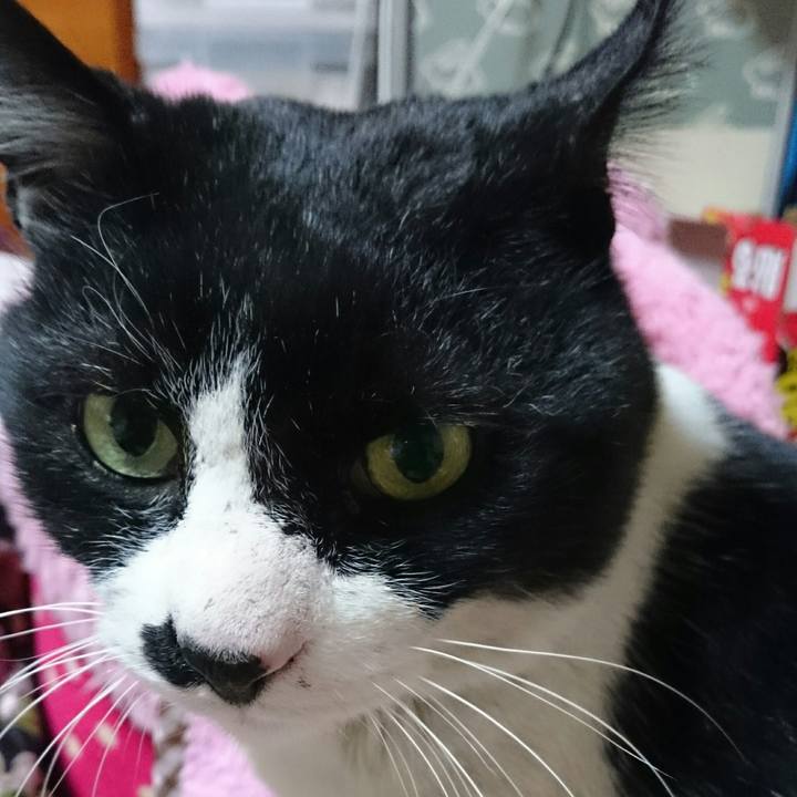 Edc51e03 0b11 4691 9957 baf62f76c6e1