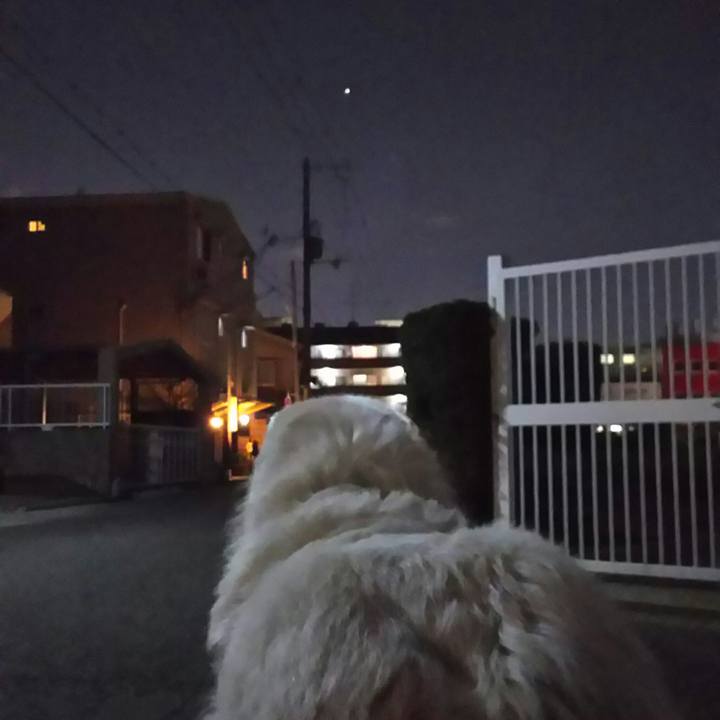 Edc5533d 54dc 436c b821 48a8bd3e6925