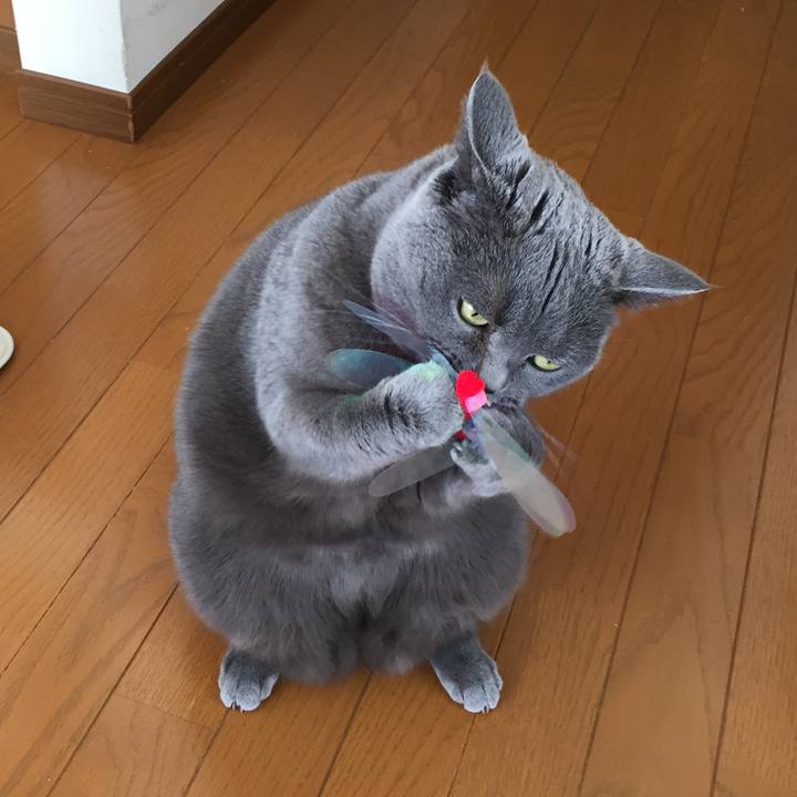 Edc58942 c507 485d a99a 503fc9e29635