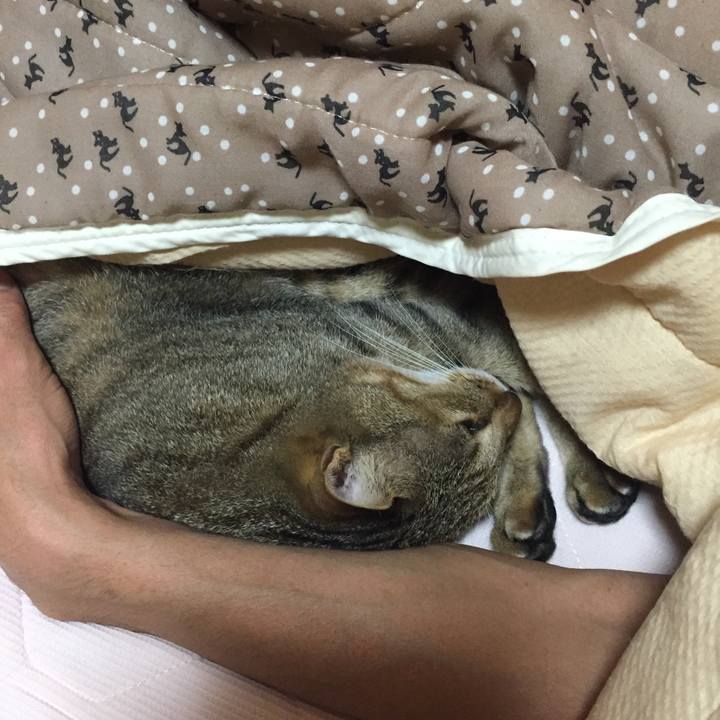 Edc5d345 0745 40c6 bdc9 d117dca5b7de