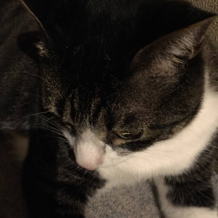 Edc6057f 74fd 441d 8f8a 1a45f43abd2c