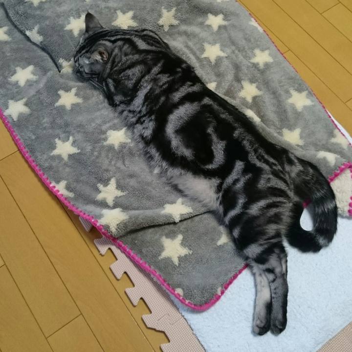 Edc62e09 7129 4686 aa21 fdfdcfa38905