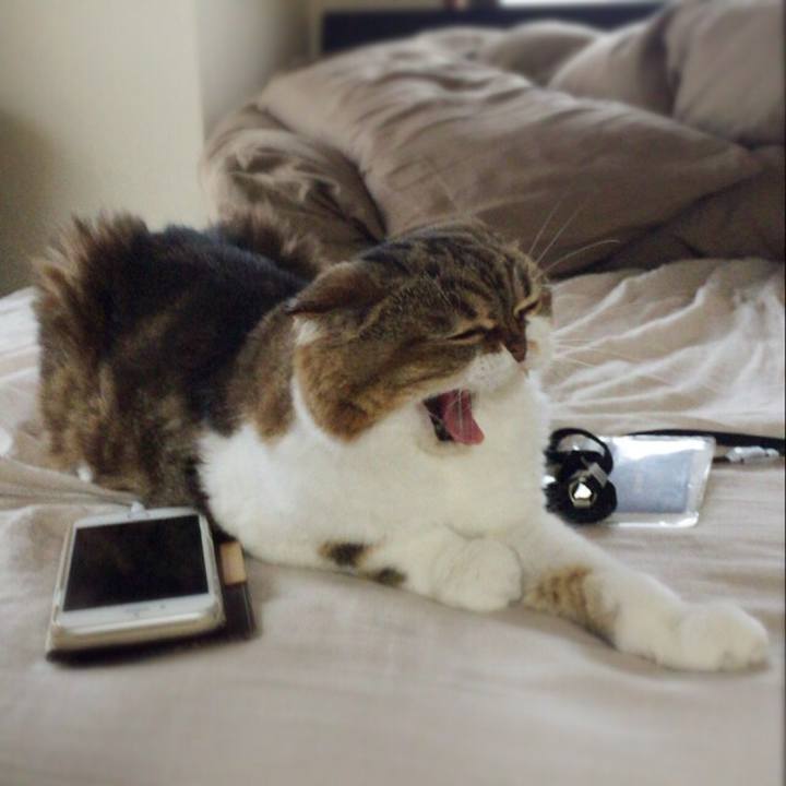 Edc66836 8e15 4c61 b438 d05de4d38451