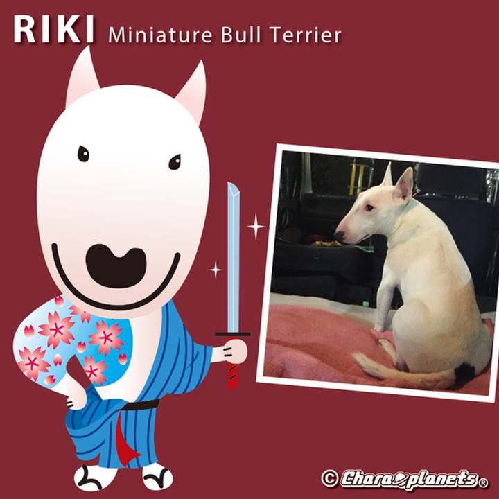 Edc7378c ba97 448a ad23 04be45bfab0d