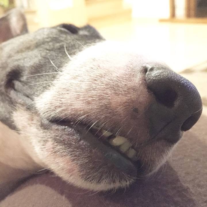 Edc738cc ae04 4ac5 8585 233855193904