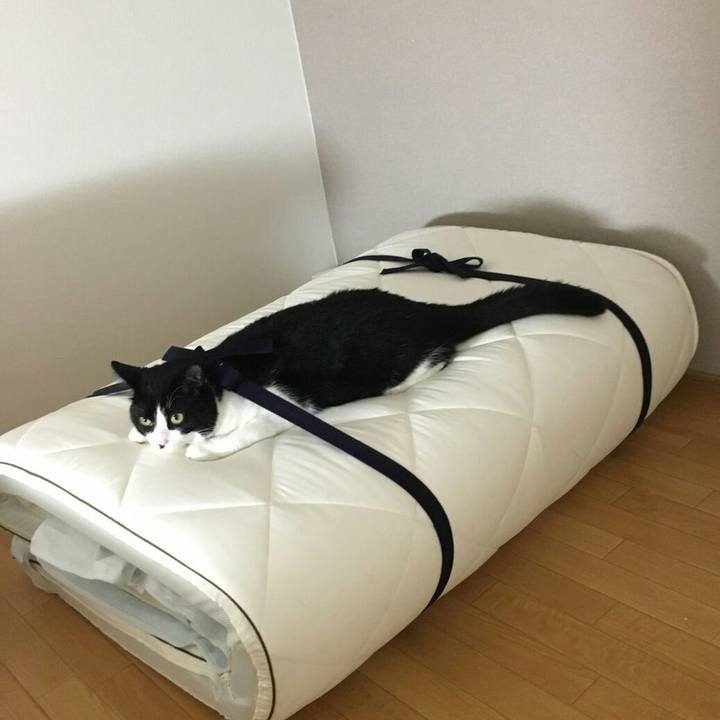 Edc76e7a 2899 4768 9a58 6591b86078f3