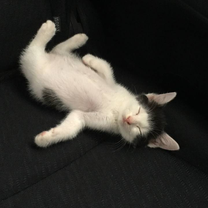 Edc7d6af 4c31 4386 a12e 42bb91ee9a92