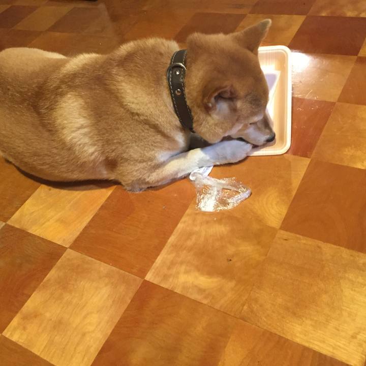 Edc7eea2 5670 47f3 9e95 5e5ecae911b8