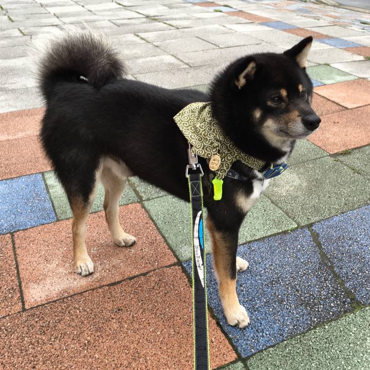 Edc83edc 3b94 45ca 9021 e780a7290071