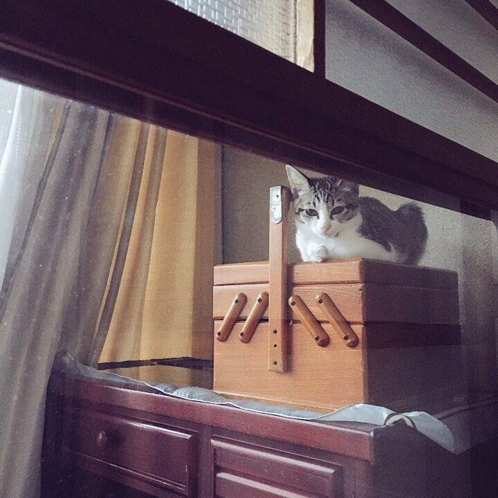 Edc8432e b579 4e40 9fca ad5a2edc817a