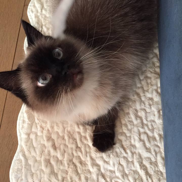 Edc872aa 73a1 44f3 86e3 37b2af624272