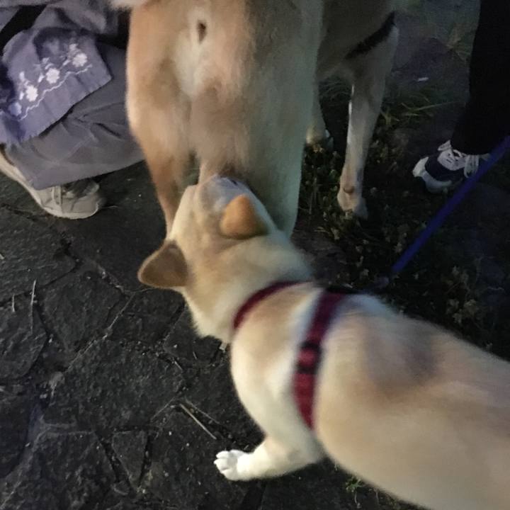 Edc922e8 39bb 4352 ac83 3ad9fa8bbe94