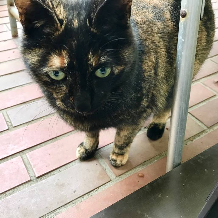 Edc9231f 051d 4024 9fd6 9d5be373412a