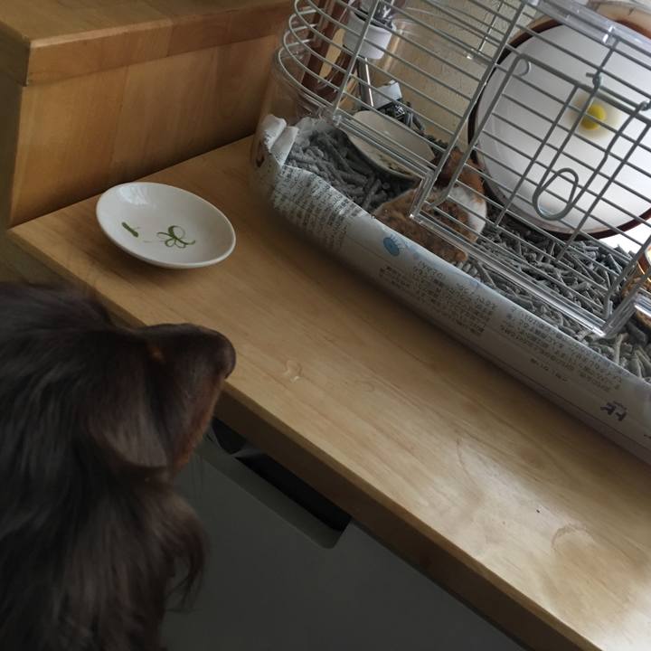 Edca2167 637c 4a6c 88bd 8218cf7837cd