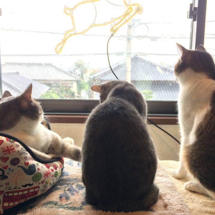 Edcadf6c fd84 4c67 bbac 3a4febcd778b