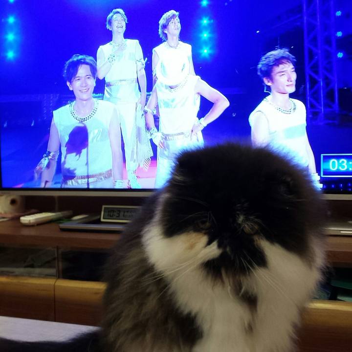 Edcc3894 cbf6 446d a389 88446ec324fd