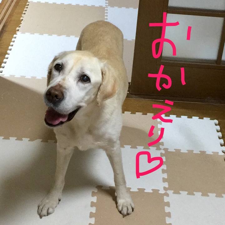 Edcc424d 112d 4850 8cb2 36a70b179a12