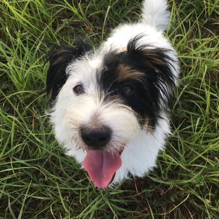 Edcc74c7 6ec4 4394 bc03 cecf0397123e