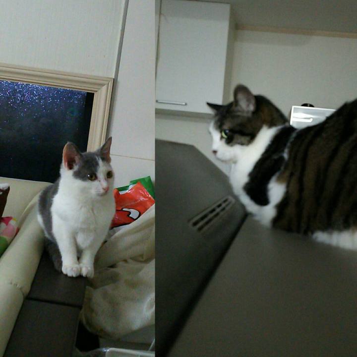 Edccaf62 6ea1 4bc3 9fc9 8a5aca85794c