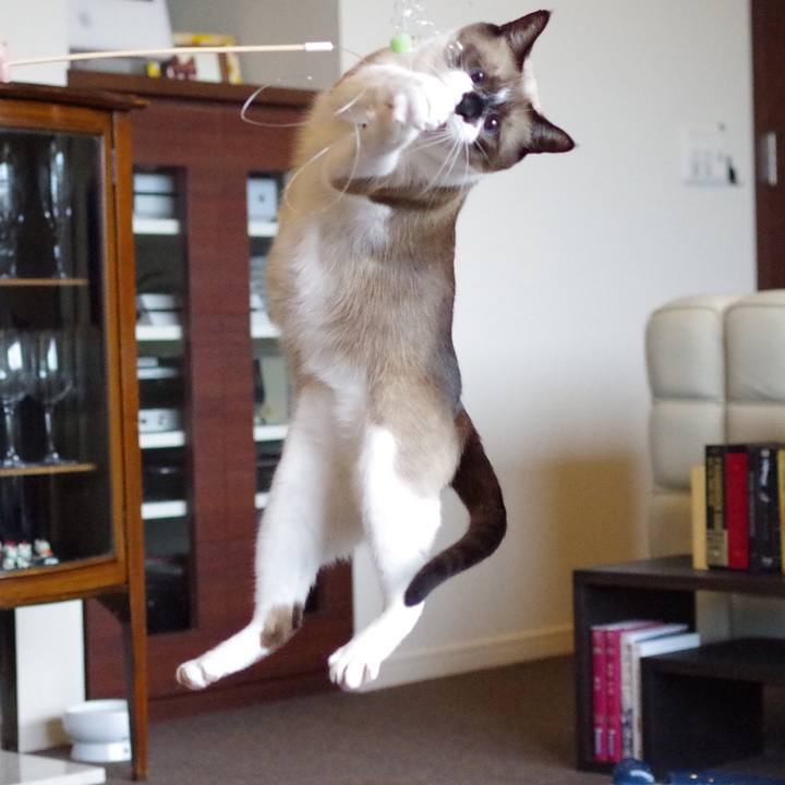 Edccd58d 4b5b 497e b36d 2a60b074fbcd