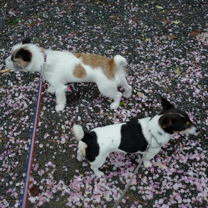 Edcd9f3d 22b0 4dd1 8ef5 5eab99d564de