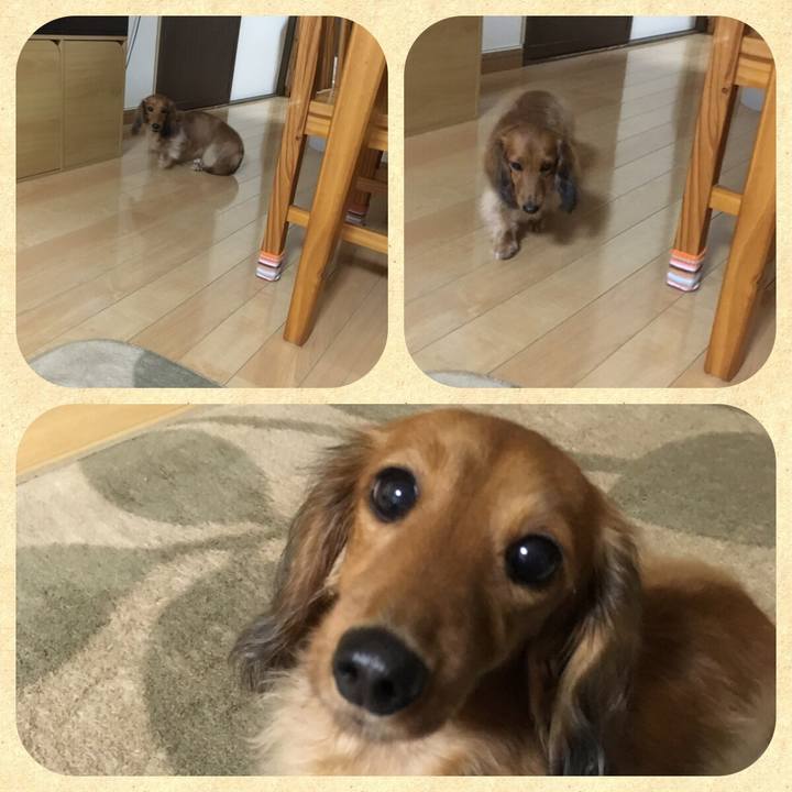 Edce7ca1 38ba 4ad6 b916 c1dd978aaaaa