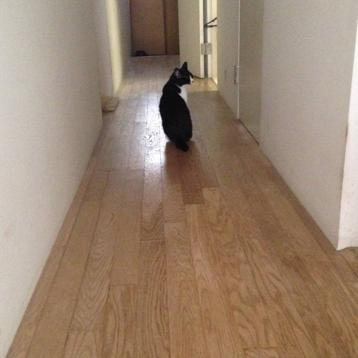 Edce97c6 92d2 4931 9f1f fd773b6bdbd4