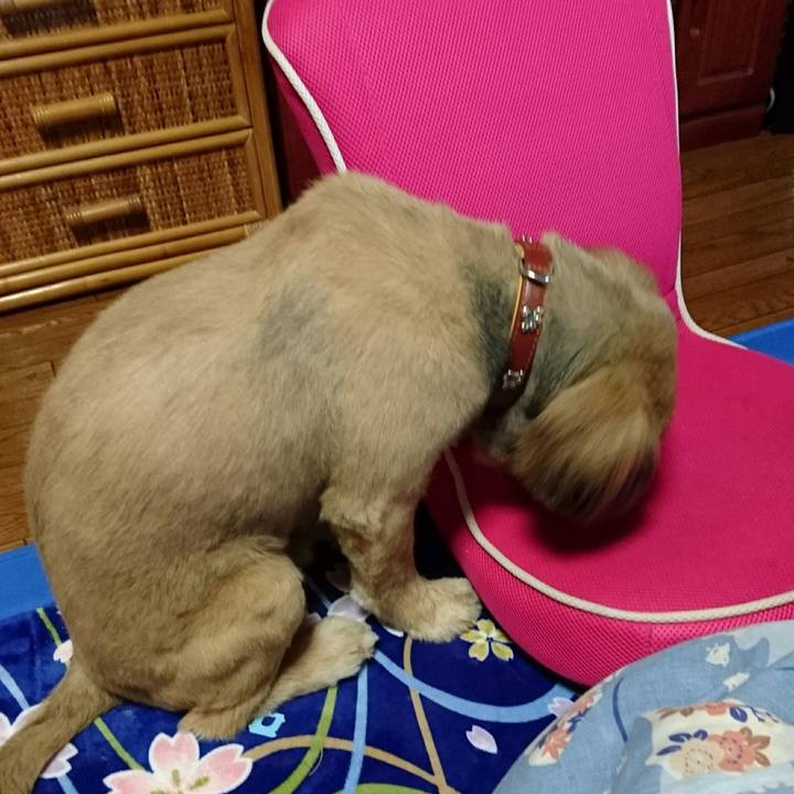 Edd02b8a 037d 4251 a66d 2188015ff40c