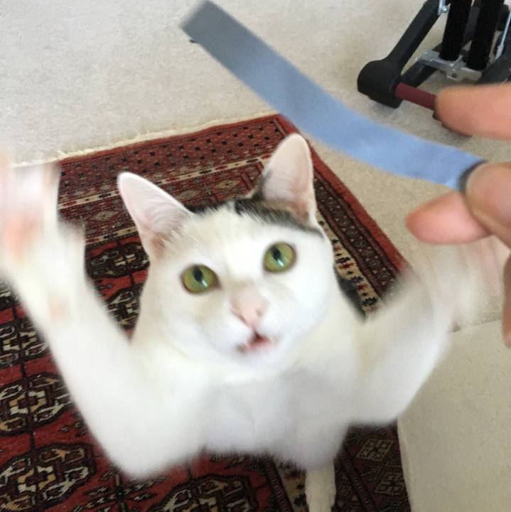 Edd0422d 819f 415b 871e 2e8719de7105